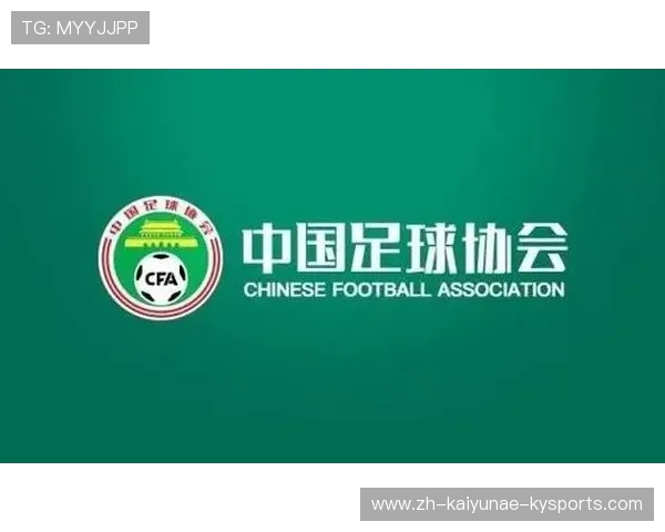 2013赛季中超联赛最终排名与升降级情况说明